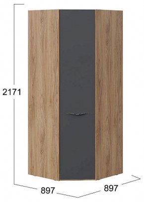 Шкаф платяной Глосс СМ-319.07.311 в Златоусте - zlatoust.mebel24.online | фото 4