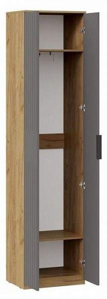 Шкаф платяной Хилтон Исп. 2 в Златоусте - zlatoust.mebel24.online | фото 2
