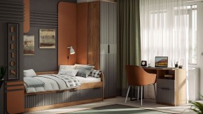 Шкаф платяной Хилтон Исп. 2 в Златоусте - zlatoust.mebel24.online | фото 5