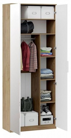 Шкаф платяной Хилтон Исп. 2.1 в Златоусте - zlatoust.mebel24.online | фото 4