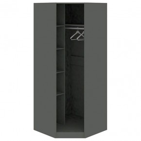 Шкаф платяной Наоми СМ-208.07.06 L в Златоусте - zlatoust.mebel24.online | фото 2