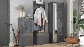 Шкаф платяной Норден в Златоусте - zlatoust.mebel24.online | фото 3