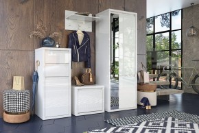 Шкаф платяной Норден СТЛ.413.01 в Златоусте - zlatoust.mebel24.online | фото 4