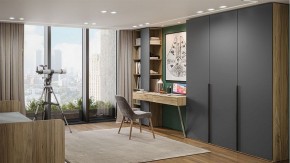 Шкаф платяной Порто СМ-393.07.223 в Златоусте - zlatoust.mebel24.online | фото 5