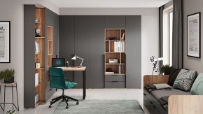 Шкаф платяной Порто СМ-393.07.223 в Златоусте - zlatoust.mebel24.online | фото 9