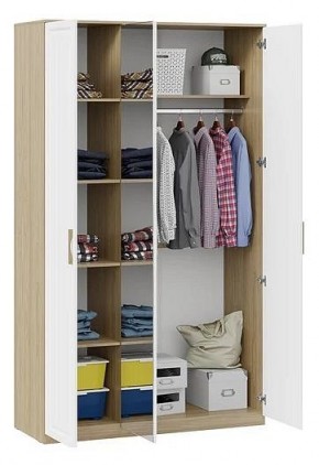Шкаф платяной Сэнди в Златоусте - zlatoust.mebel24.online | фото 3