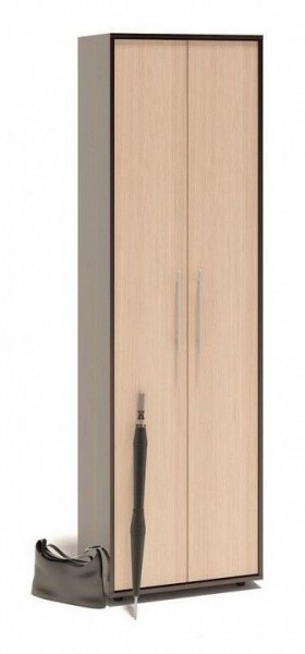 Шкаф платяной ШО-1 в Златоусте - zlatoust.mebel24.online | фото