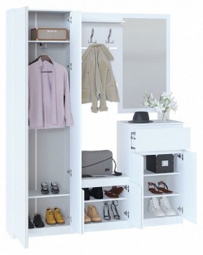 Шкаф платяной ШО-4 в Златоусте - zlatoust.mebel24.online | фото 4
