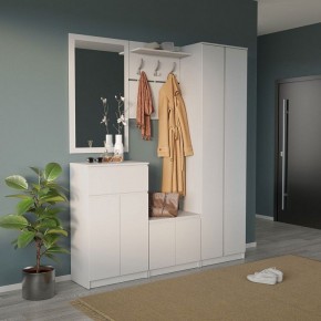 Шкаф платяной ШО-4 в Златоусте - zlatoust.mebel24.online | фото 6