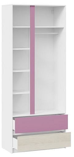 Шкаф платяной Сканди в Златоусте - zlatoust.mebel24.online | фото 4