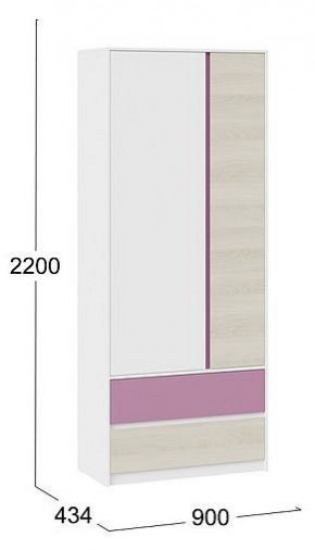Шкаф платяной Сканди в Златоусте - zlatoust.mebel24.online | фото 5