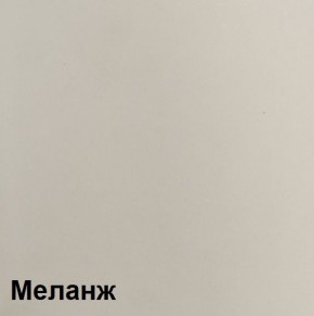 Шкаф ШК-5 (1600) Меланж в Златоусте - zlatoust.mebel24.online | фото 3