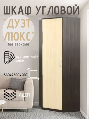 Шкаф угловой Дуэт Люкс без зеркала в Златоусте - zlatoust.mebel24.online | фото 3