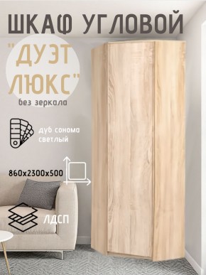 Шкаф угловой Дуэт Люкс без зеркала в Златоусте - zlatoust.mebel24.online | фото 5