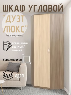 Шкаф угловой Дуэт Люкс без зеркала в Златоусте - zlatoust.mebel24.online | фото 7