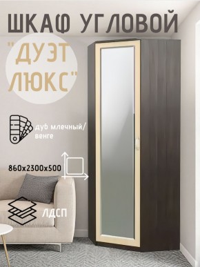 Шкаф угловой Дуэт Люкс с зеркалом в Златоусте - zlatoust.mebel24.online | фото 5