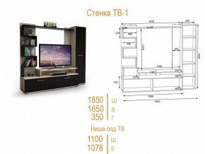 Стенка для гостиной ТВ-1 в Златоусте - zlatoust.mebel24.online | фото 2