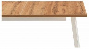 Стол обеденный Колон Лофт в Златоусте - zlatoust.mebel24.online | фото 6
