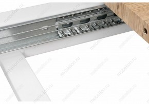 Стол обеденный Санса 120 в Златоусте - zlatoust.mebel24.online | фото 10