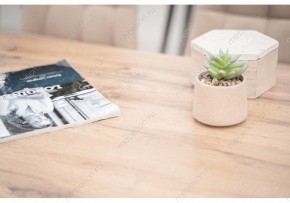 Стол обеденный Тринити Лофт 120 в Златоусте - zlatoust.mebel24.online | фото 6