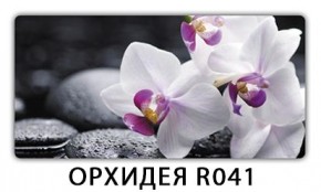 Стол раздвижной-бабочка Бриз с фотопечатью Доска D113 в Златоусте - zlatoust.mebel24.online | фото 19