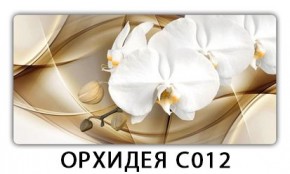 Стол раздвижной Трилогия с фотопечатью Доска D110 в Златоусте - zlatoust.mebel24.online | фото 13