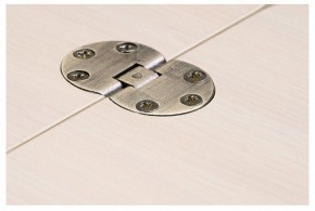 Стол-трансформер Престиж в Златоусте - zlatoust.mebel24.online | фото 10