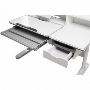 Стол учебный FIORE II в Златоусте - zlatoust.mebel24.online | фото 4