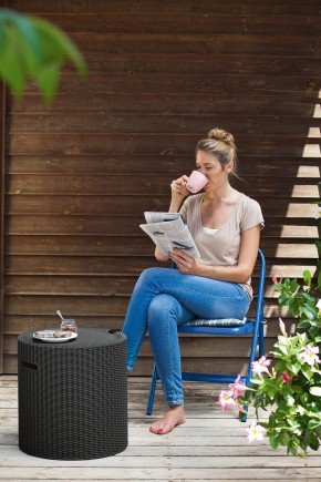Столик-холодильник Кул-Стул (Cool stool) коричневый в Златоусте - zlatoust.mebel24.online | фото 2