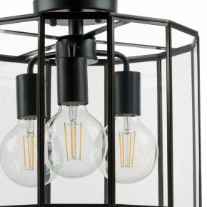 Светильник на штанге Lightstar Genni 798237 в Златоусте - zlatoust.mebel24.online | фото 4