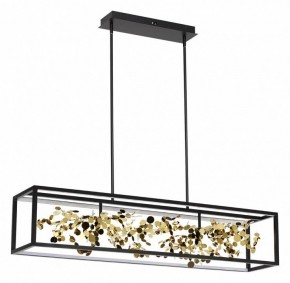 Светильник на штанге Odeon Light Bild 5065/65L в Златоусте - zlatoust.mebel24.online | фото 1