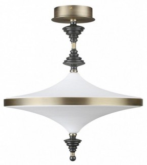 Светильник на штанге Odeon Light Ula 5404/43CL в Златоусте - zlatoust.mebel24.online | фото