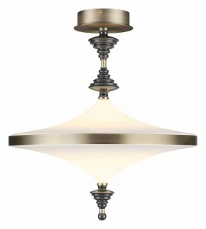 Светильник на штанге Odeon Light Ula 5404/43CL в Златоусте - zlatoust.mebel24.online | фото 2