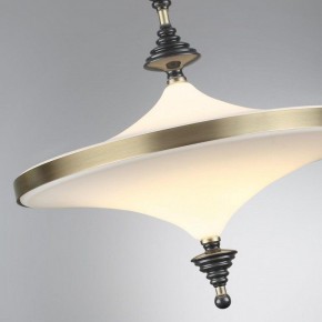 Светильник на штанге Odeon Light Ula 5404/43CL в Златоусте - zlatoust.mebel24.online | фото 6