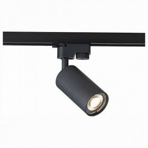 Светильник на штанге ST-Luce Solt ST300.406.01 в Златоусте - zlatoust.mebel24.online | фото 1