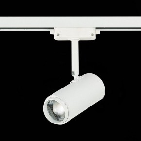 Светильник на штанге ST-Luce Zoom ST600.546.12 в Златоусте - zlatoust.mebel24.online | фото 5