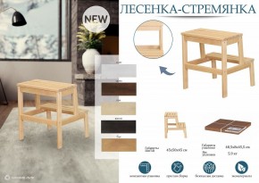 Табурет Стремянка в Златоусте - zlatoust.mebel24.online | фото 6