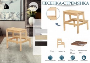 Табурет Стремянка в Златоусте - zlatoust.mebel24.online | фото 3