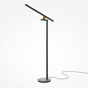 Торшер Maytoni Emphaty MOD363FL-L14B3K в Златоусте - zlatoust.mebel24.online | фото 2