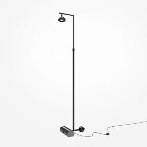 Торшер Maytoni Pikant MOD372FL-L10B3K в Златоусте - zlatoust.mebel24.online | фото 2