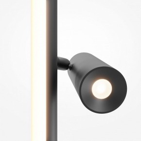 Торшер Maytoni Thin MOD395FL-L28B3K в Златоусте - zlatoust.mebel24.online | фото 6