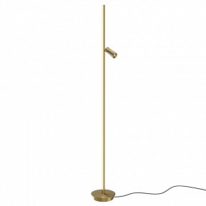 Торшер Maytoni Thin MOD395FL-L28BS3K в Златоусте - zlatoust.mebel24.online | фото