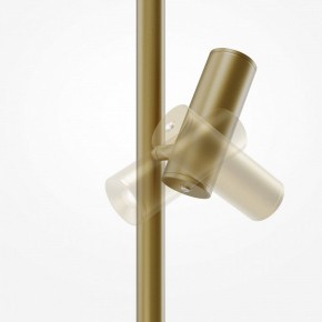 Торшер Maytoni Thin MOD395FL-L28BS3K в Златоусте - zlatoust.mebel24.online | фото 6