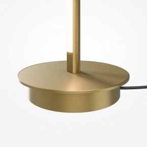 Торшер Maytoni Thin MOD395FL-L28BS3K в Златоусте - zlatoust.mebel24.online | фото 7