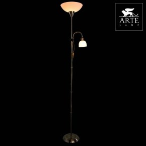 Торшер с подсветкой Arte Lamp Duetto A9569PN-2AB в Златоусте - zlatoust.mebel24.online | фото 3