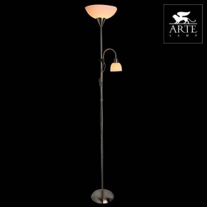 Торшер с подсветкой Arte Lamp Duetto A9569PN-2SS в Златоусте - zlatoust.mebel24.online | фото 3