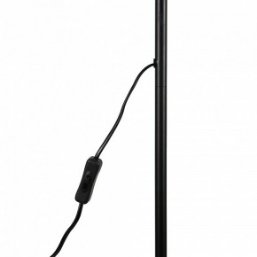 Торшер Uniel UML-T701 UL-00010188 в Златоусте - zlatoust.mebel24.online | фото 8