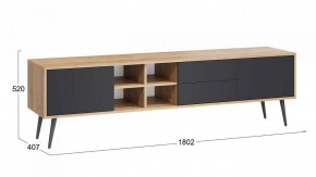 Тумба под ТВ Тип 5 в Златоусте - zlatoust.mebel24.online | фото 6