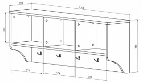 Вешалка-полка ДримСтар ДС-30 в Златоусте - zlatoust.mebel24.online | фото 2