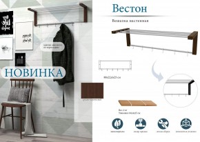 Вешалка-полка Вестон в Златоусте - zlatoust.mebel24.online | фото 3